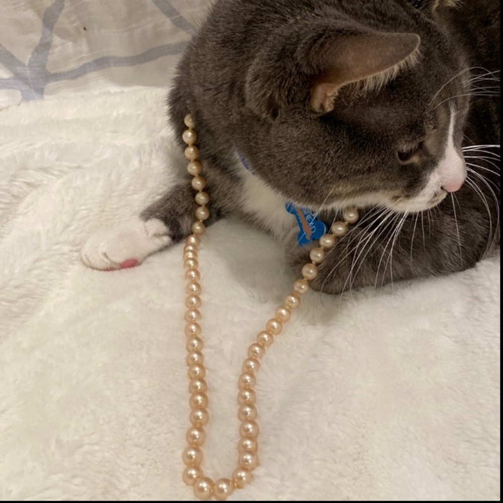Pearl necklace!🐚🦪